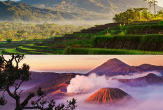 Hutan Mati Gunung Papandayan, Suasana Mencekam DItengah Keheningan, Simak!