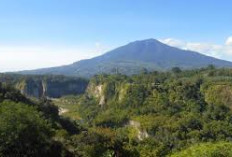 Tawarkan Pesona Wisata yang Menarik di Gunung Singgalang! Simak Fakta Menariknya Disini!