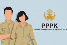 Pendaftaran PPPK 2024 Tahap 2 Diperpanjang