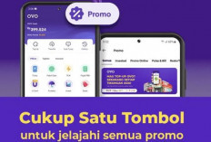 Keren, Cara upgrade OVO Premier untuk melakukan transfer ke DANA