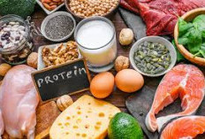 Yuk Simak Rahasia Kesehatan Tubuh! Mengungkap 5 Manfaat Penting dari Asupan Protein Yang Cukup