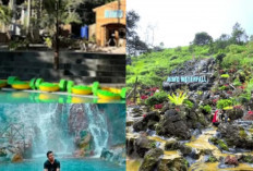 Sensasi Terapi Air Panas yang Menyegarkan di Nimo Jungle Hotspring!