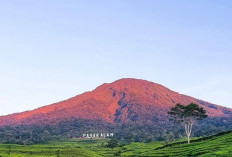 Ternyata Ini 3 Mitos dan Misteri yang Melegenda di Gunung Dempo Pagaralam Yang Bikin Ngeri, Ini Selengkapnya!