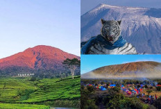 Petualangan Mistis di Gunung Dempo Cerita-cerita Aneh yang Tidak Bisa Dijelaskan, Yuk Cari Tahu!