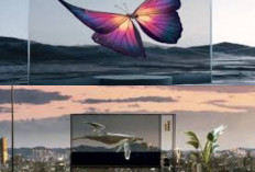 Ayo Lihat TV Transparan yang Bisa Menghilang Saat Dimatikan!