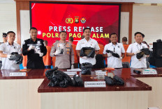 Satresnsrkoba Polres Pagar Alam Ringkus 8 Pemain Narkotika