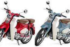 Honda Super Cub Terbaru 2026 Resmi Hadir, Ikon Motor Legendaris Kini Lebih Modern, Irit, dan Berkelas 2026! 