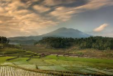 Ingin Mendki Gunung Ciremai Berikut Panduan Lengkap Jalur Pendakian Gunung Ciremai