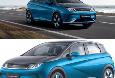 Mobil Listrik Murah Berkualitas: BYD Dolphin Mengguncang Industri EV