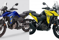 Harga Terbaru Agustus 2026 Suzuki V-Strom 250SX: Motor Adventure 250 cc Ini Masih Layak Diburu!