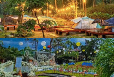 Mencari Petualangan? Coba 5 Lokasi Glamping Menarik di Lampung Yang Bikin Anda Nyaman!