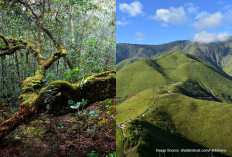 Di Balik Keindahan, Terdapat Banyak Misteri Bukit Barisan Suara Aneh dan Kabut yang Menyelimuti!