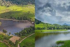 Wisata Telaga Saat, Menyatu dengan Alam di Puncak Bogor