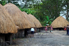 Menjelajah Kekayaan Budaya Papua, Inilah 5 Suku Unik yang Bikin Orang Geleng Kepala