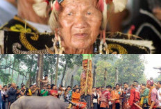 Pentingnya Keragaman Suku Dayak, Mengenal Enam Rumpun Etnis Utama di Kalimantan!
