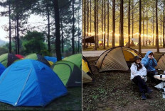 5 Tempat Camping Terbaik di Malang untuk Liburan Keluarga yang Tak Terlupakan!