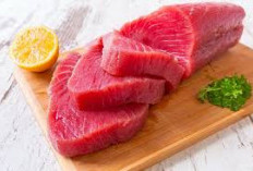 Pernah Coba? Ini 5 Manfaat dan Lezat Berbagai Hidangan Ikan Tuna Yang Wajib Dicoba