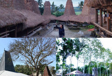 Menjelajah Tradisi, Kampung Adat di Sumba Tengah yang Menawan!