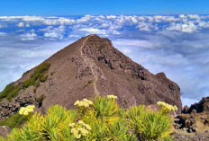 Pesona Gunung Raung, Spot Terbaik untuk Menikmati Pemandangan Alam