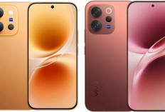 Review Vivo X300e 2026: Smartphone Stylish dengan Performa Andal dan Kamera AI yang Makin Pintar!