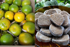 Hidangan Khas Garut, Dengan Cita Rasa Khasnya?