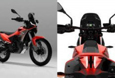 Moto Morini Kanguro 300 2026: Kembalinya Motor Adventure Dual-Sport Bergaya 80-an dengan Performa Canggih!