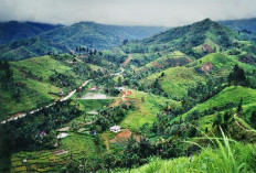 Bukit Barisan Sumatera Selatan 