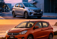 Daihatsu Ayla 1.0 Liter: Pilihan Tepat dan Terjangkau untuk Menjadi Mobil Pertama Anda