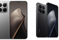 Review HP Xiaomi Terbaru 2026: Inovasi AI Semakin Pintar, Performa Makin Kencang Ditahun 2026!