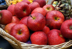 Sumber Nutrisi Terbaik 5 Alasan Mengapa Harus Rutin Makan Apel