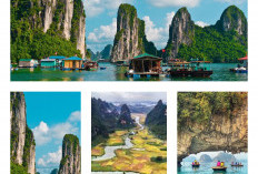 Ini Dia, 5 Rekomendasi Tempat Wisata di Vietnam yang Eksotis dan Menarik untuk Dikunjungi