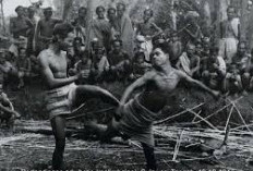 Adu Betis, Simbol Persatuan dan Kebanggaan Sulawesi Selatan