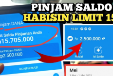 Ternyata Begini Cara Mudah Pinjam 15 Juta di DANA Tanpa Ribet!