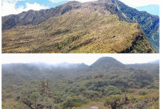 Mitos Hantu Penunggu Hutan Gunung Leuser, Kisah Mistis yang Terus Hidup dari Generasi ke Generasi