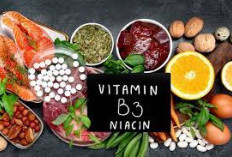 Yuk Catat! Mengenal 5 Lebih Jauh Vitamin B3 Asam Orotat Dalam Konteks Kesehatan
