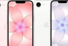 iPhone 17e 2026 Resmi Bocor! Spesifikasi dan Harganya Bikin Kaget Ditahun 2026!