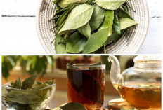 Manfaat Daun Salam untuk Wanita: Tubuh Sehat, Berat Badan Ideal, dan Kulit Glowing Alami!