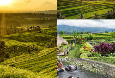 Eksplorasi Desa Wisata Jatiluwih, Keindahan Alam dan Kearifan Lokal di Bali!