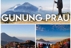 Gunung Prau Semakin Populer Bagi Pendaki Pemula. Ini Rute Pendakiannya!