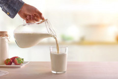 Apakah Susu Sapi Sangat Penting Bagi Kesehatan? Yuk Simak 5 Minuman Bergizi Untuk Menunjang Kesehatan Anda!