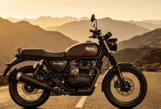 Royal Enfield Bear 650 Resmi Meluncur: Cek Spesifikasi Lengkap dan Harganya di Sini!