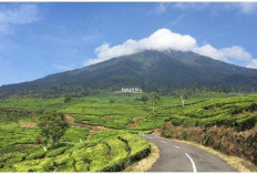 Jalur Pendakian Gunung Dempo Dibuka