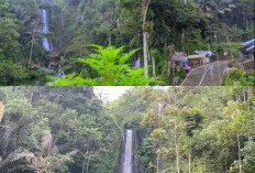 Menelusuri Pesona Curug Cikurutug, Air Terjun seperti Lukisan Hidup!