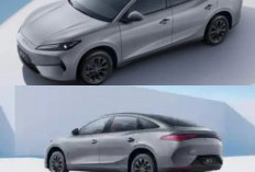 Yuk Kenalan dengan Mobil Listrik Sedan Termurah di Dunia yang Bikin Penasaran