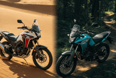 Honda XRE Sahara 300 vs Yamaha Lander 250: Duel Sengit Motor Adventure 250-300 cc!