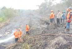 1/2 Hektar Lahan di Bedeng Kresek Terbakar