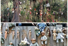 Ratusan Boneka Bergelantungan di Pulau Ini, Kisah Mistis Isla de las Muñecas yang Mengundang Rasa Penasaran