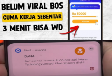 Viral! Cuma 10 Menit Main Game Bisa Cair Rp50.000 ke DANA!