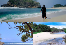 Eksplorasi Pantai Pulodoro, Menikmati Keindahan Alam dan Aktivitas Seru di Jember!