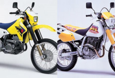 Djebel 250 XC, Motor Trail Hemat dan Tangguh, Intip Keunggulannya Disini!